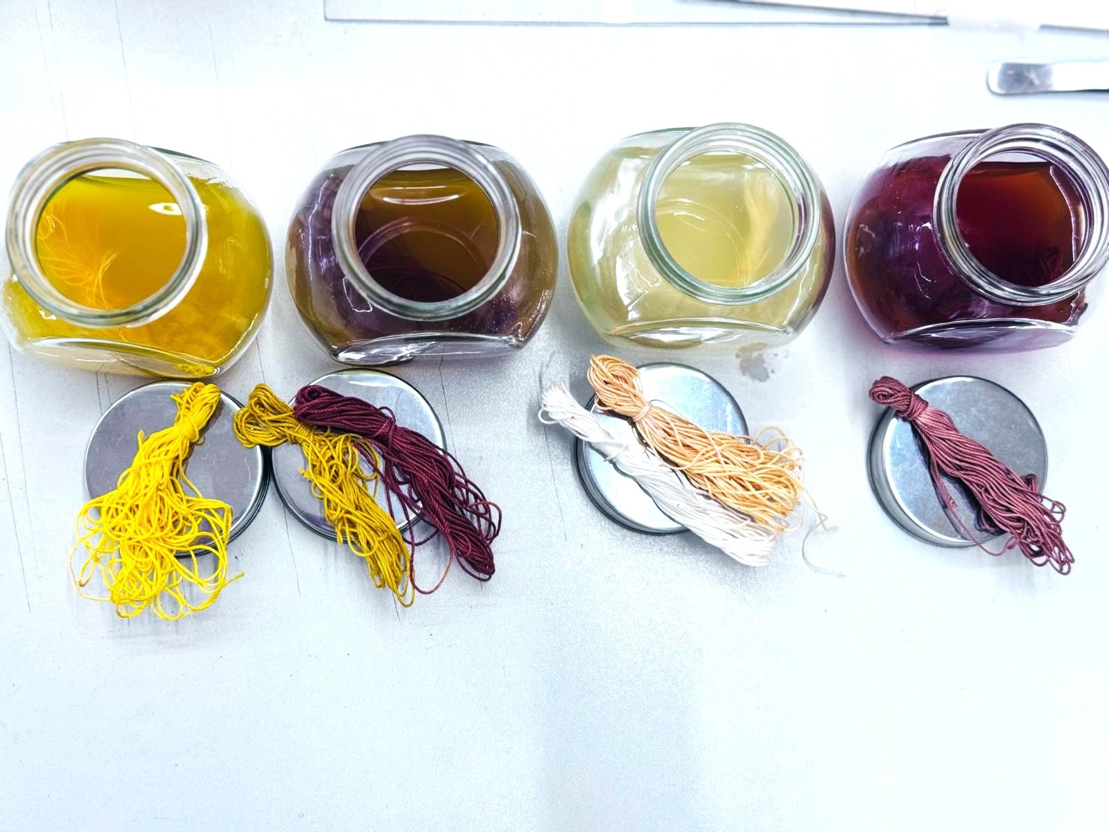 3. Corina Petrehele&Daria _coloranti organici (2)