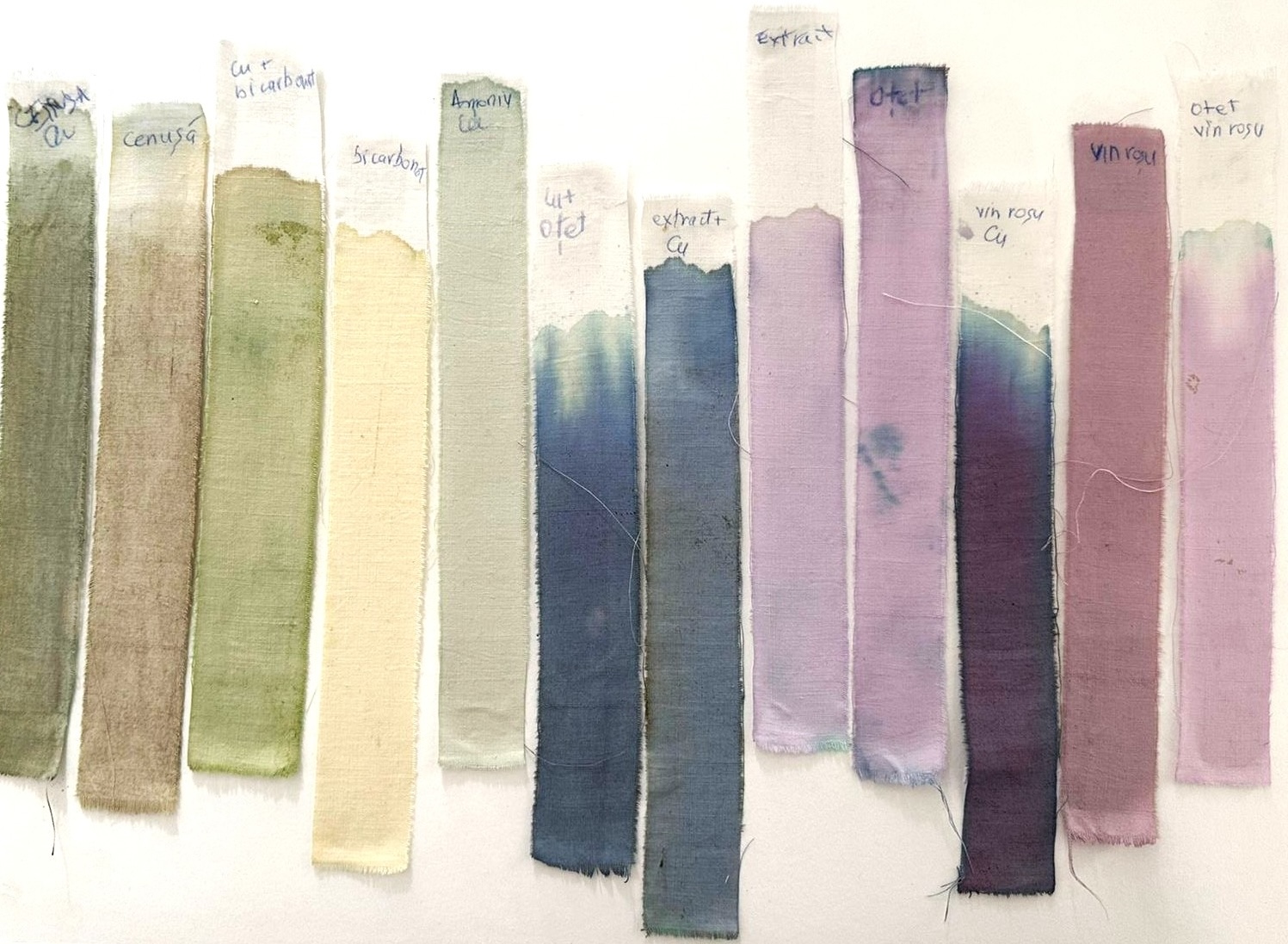 3. Corina Petrehele&Daria _coloranti organici (3)